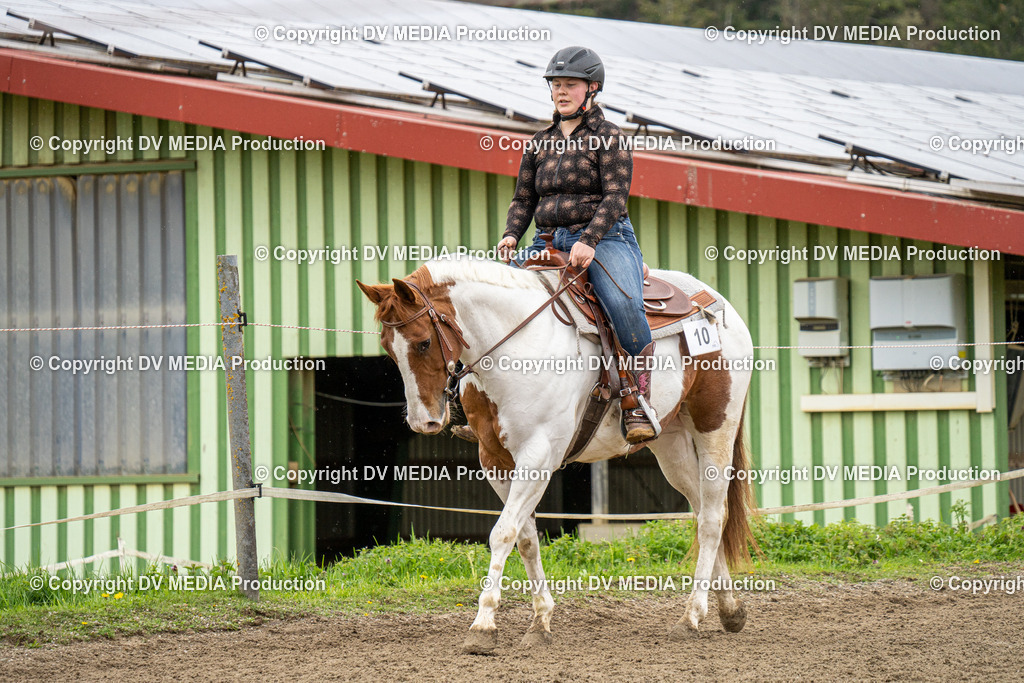 BAL00810 | dv-media-shop - Realisiert mit Pictrs.com