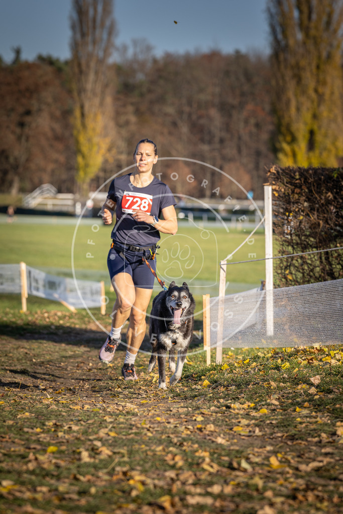 CaniXpix_DV3A1972 | Hundefotografie, Tierfotograf, Pfotenfotografie, Fotoshooting Hund, Hunde Portrait, Hundesport, Hundeportraits, Heideshooting, Hunde, Sportfotograf, Hundefotograf, Turnierhundsport, THS,  - Realisiert mit Pictrs.com
