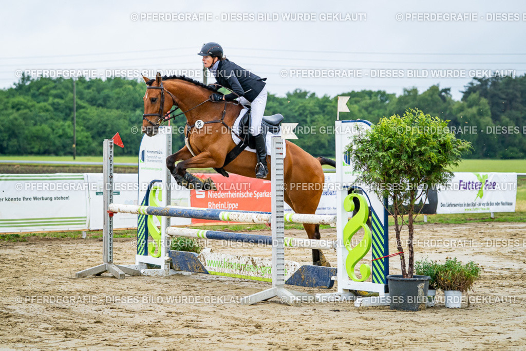 DSC02338 | Pferdegrafie