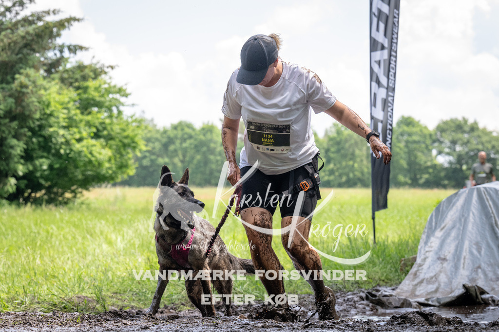 1148_ZZ94656 | kk-dogfotos