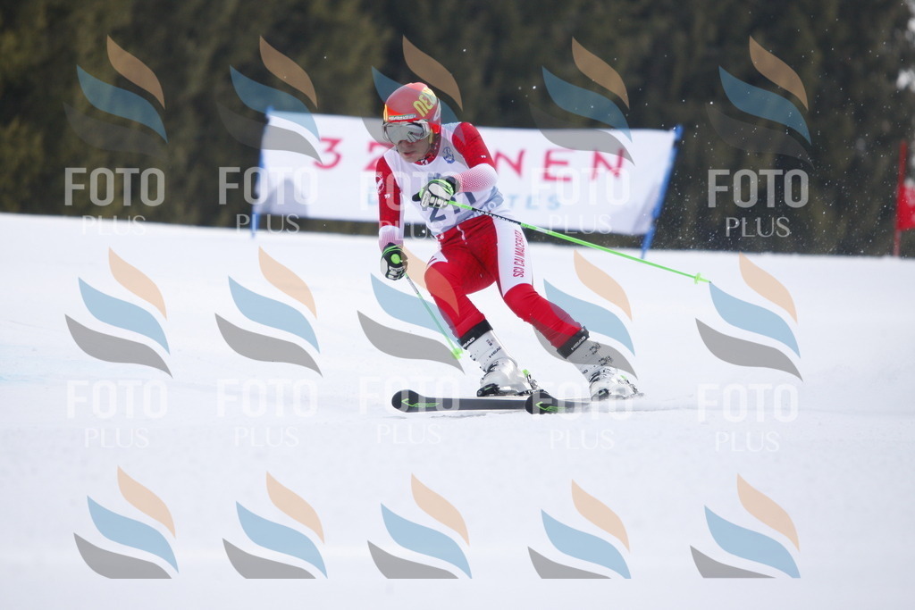 D8220 | holidayphoto