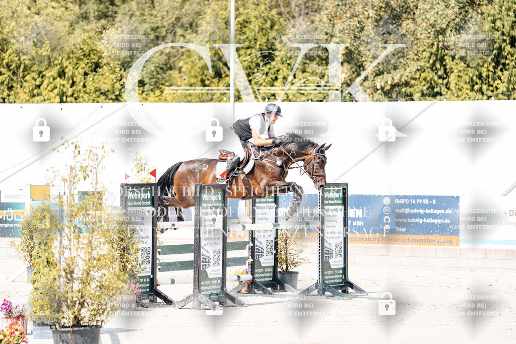 CK901379 | Turnierfotografie Pferdefotografie Trier Rheinland-Pfalz Pferdesport Reitsport Tierfotografie Sportfotografie Pferdevideo Pferdevideografie Equestrianvideography equestrianphotography  - Realisiert mit Pictrs.com