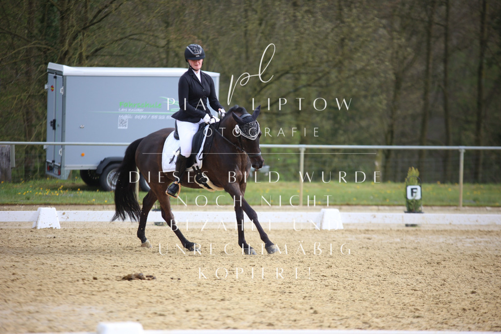 IMGT6998 | pl-fotografie