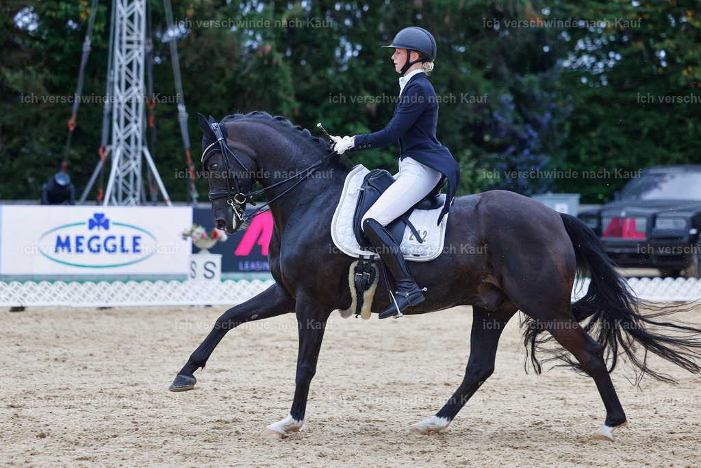 8_1-212-Klasse S_  -StoibPH-3936 | working equitationturnier fotograf videograf stoibphotography marixx film working equitation deutschland reitsport turnierfotografie eventfotografie equestrian events