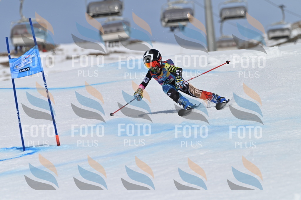 BGV_3471 | holidayphoto