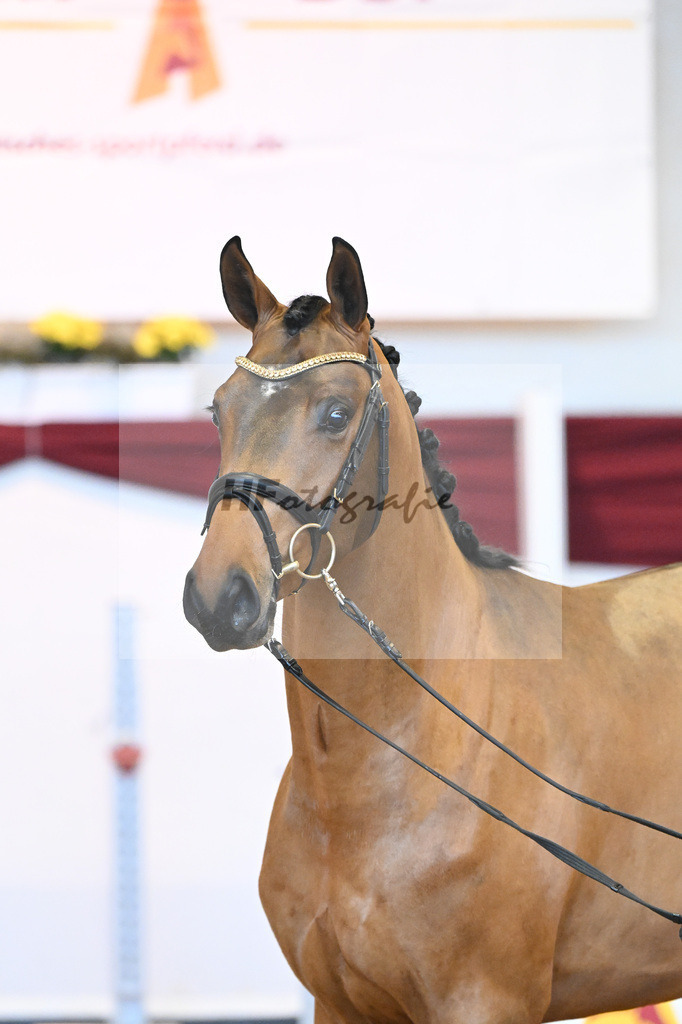 Kat-Nr. 62 v. Asti Spumante_Muehlbauer_66221395 | hf-fotografie - Realisiert mit Pictrs.com