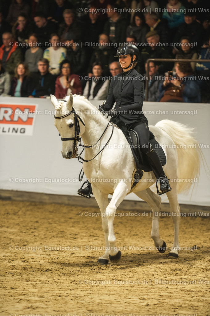 20240302_Hengstvorstellung_Marbach_TOMsPiC_1082-2 | equistock