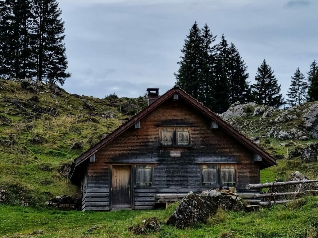 PSX_20221021_224714 | mtkfoto_ - Realisiert mit Pictrs.com