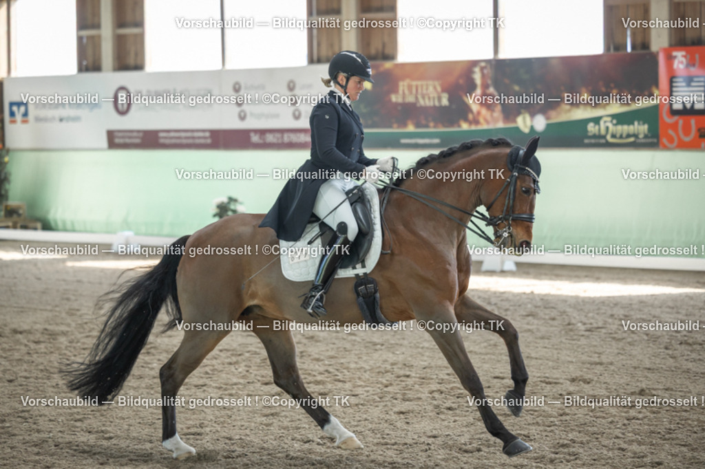 _D5A9704 | Emotionale Pferde- & People-Fotografie rund um Heidelberg, Leimen & Umgebung. Natürliche Fotos von Pferd, Mensch & Familie. Jetzt Termin sichern!