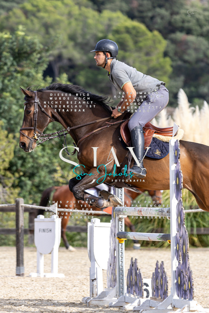 IMG_4072 | s-jay-photography - Realisiert mit Pictrs.com