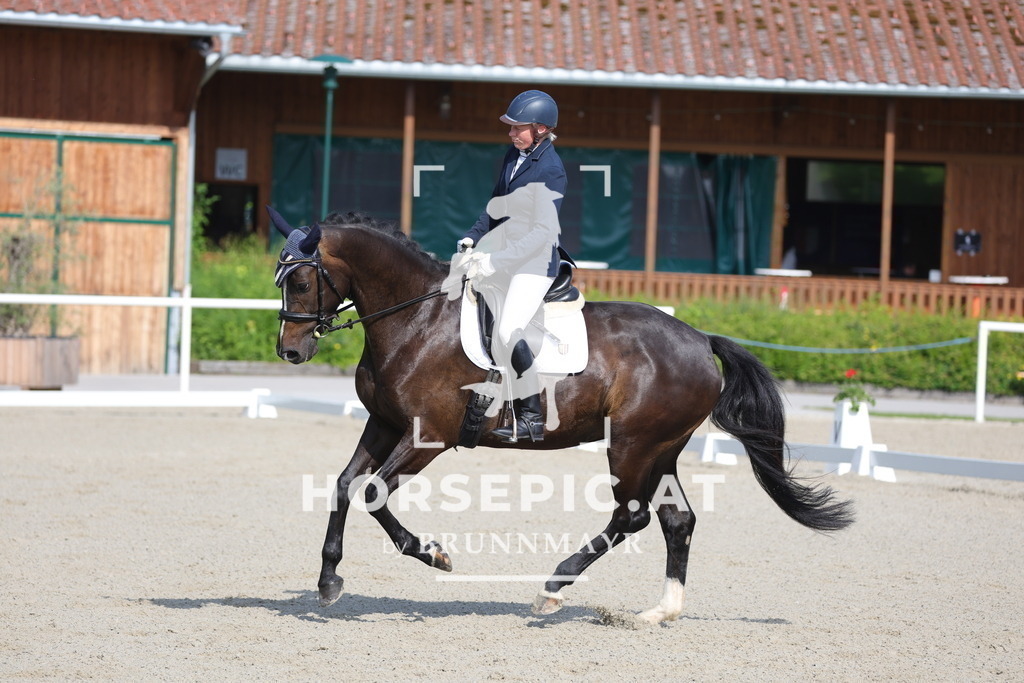 0P6A4547 | Willkommen bei Brunnmayr - Design & Fotografie – Ihrem Spezialisten für Reitturniere und Pferdeveranstaltungen in Oberösterreich, Salzburg und Bayern! Seit über 17 Jahren sind wir leidenschaftlich dabei.