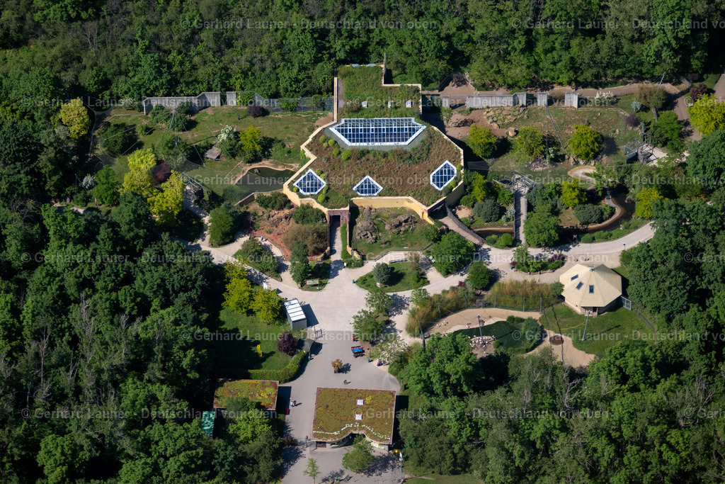 4045896 | ERFURT 14.06.2021 Tierunterkunft und Freigehege Löwenhaus im Thüringer Zoopark im Ortsteil Roter Berg in Erfurt im Bundesland Thüringen, Deutschland. Weiterführende Informationen bei: Thüringer Zoopark Erfurt. // Animal breeding accommodation lion house in Thueringer Zoopark in the district Roter Berg in Erfurt in the state Thuringia, Germany. Further information at: Thueringer Zoopark Erfurt. Foto: Gerhard Launer