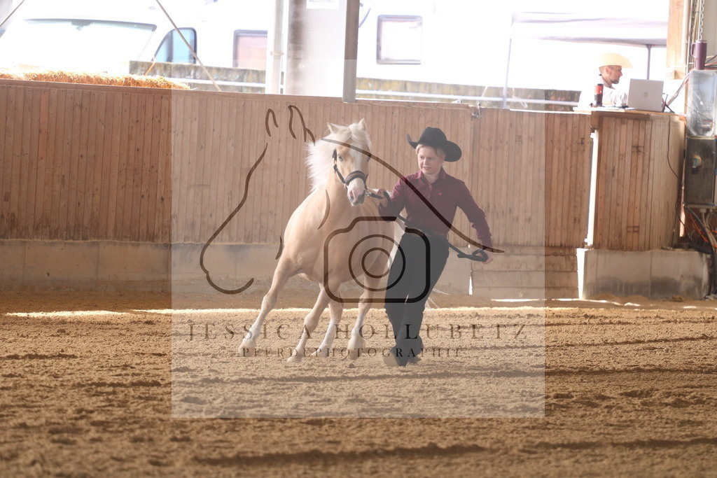 IMG_6644 | jessicahollubetz_pferdephotographie - Realisiert mit Pictrs.com