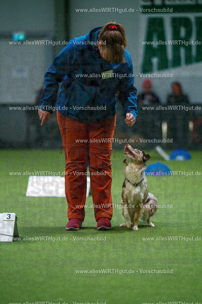 7R500317 | Professionelle Tierfotografie in Mönchengladbach von Daniel Wirth (allesWIRTHgut). Liebevolle & natürliche Bilder von Hunden & Katzen für unvergessliche Erinnerungen.