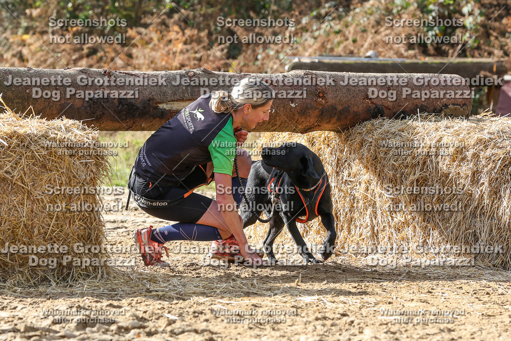 Dog Paparazzi - Strongdog 10-25-5733 | Dog Paparazzi Jeanette Grottendiek Fotografie & Videografie - Realisiert mit Pictrs.com