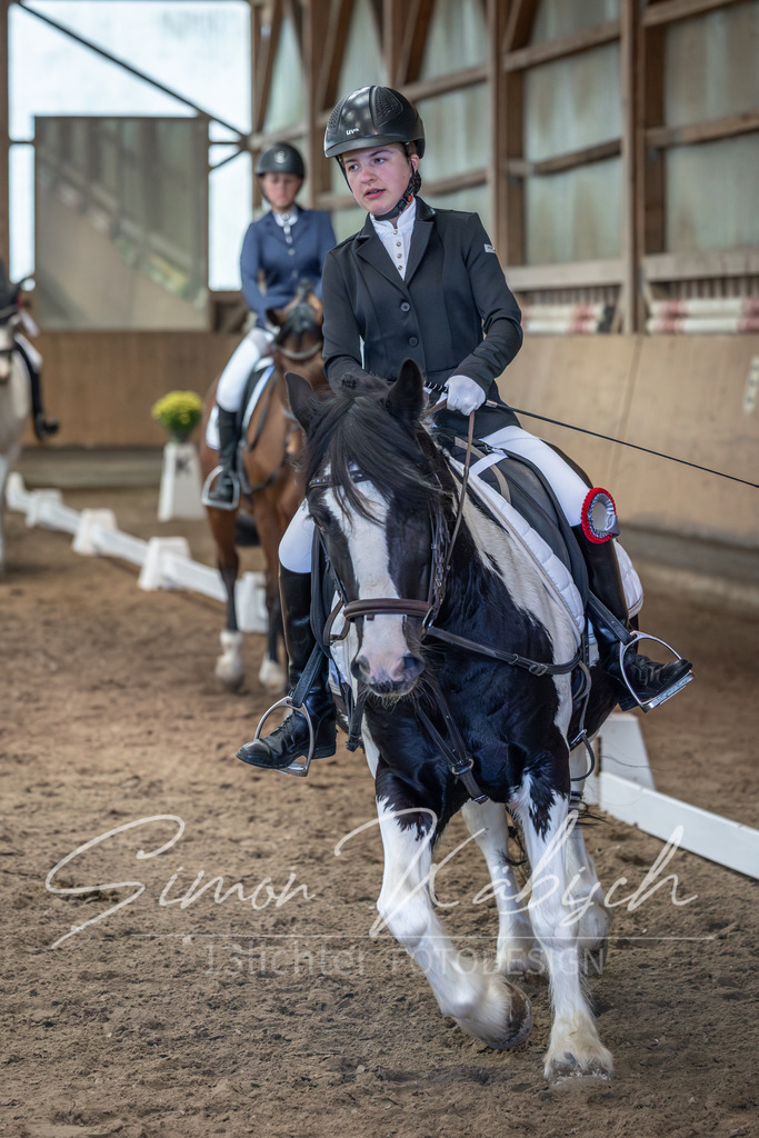 20251011-_3LI7870 | Tierfotografie Pferde, Hunde, Katzen, Haustiere.
Turnierfotografie Reitturniere, Reiten, Springreiten, Dressur in Hanau, dem Main-Kinzig-Kreis und dem Rhein-Main- Gebiet um Frankfurt