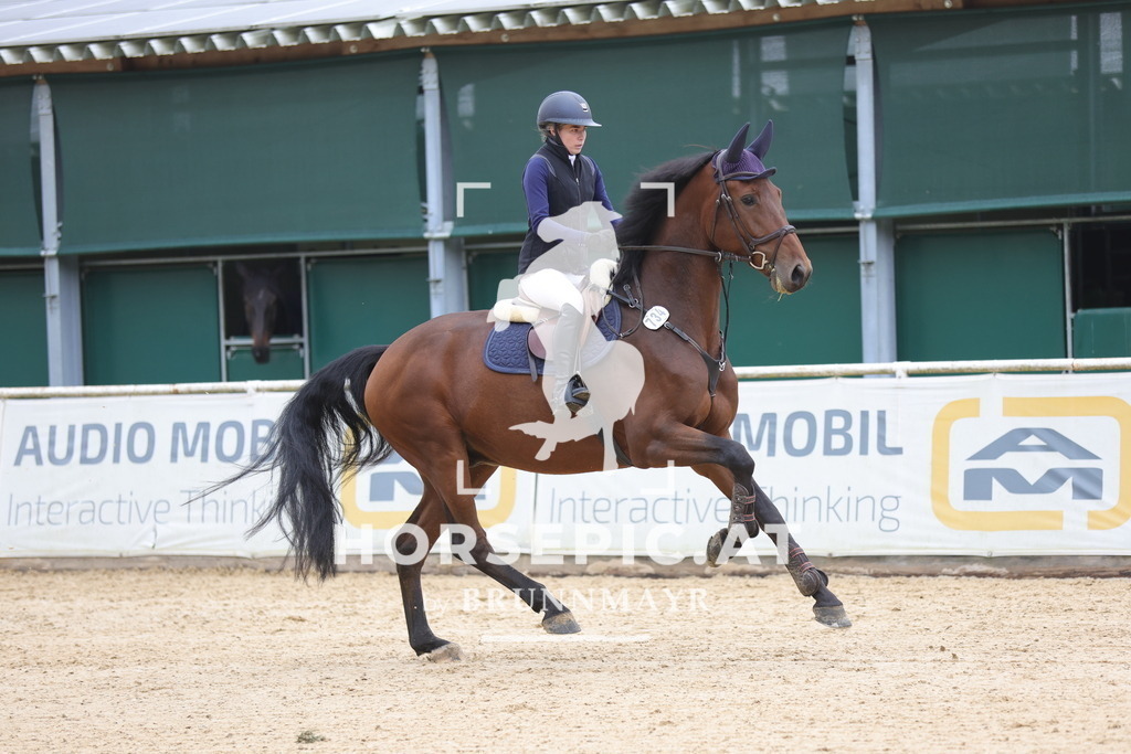 0P6A2001 | Willkommen bei Brunnmayr - Design & Fotografie – Ihrem Spezialisten für Reitturniere und Pferdeveranstaltungen in Oberösterreich, Salzburg und Bayern! Seit über 17 Jahren sind wir leidenschaftlich dabei.