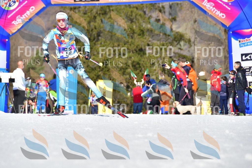 _DSC9161 | holidayphoto