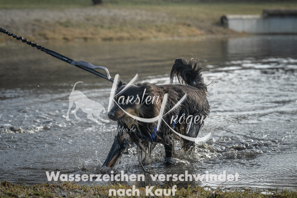 1012_ZZ96235 | kk-dogfotos