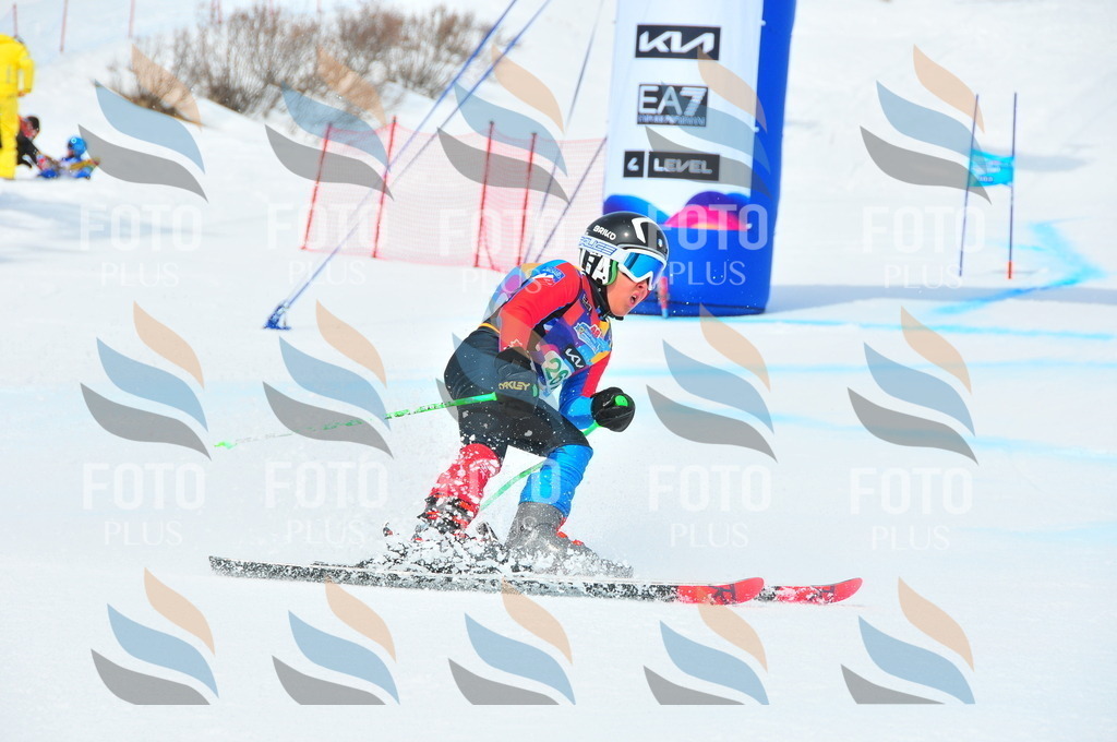 DSC_2437 | holidayphoto