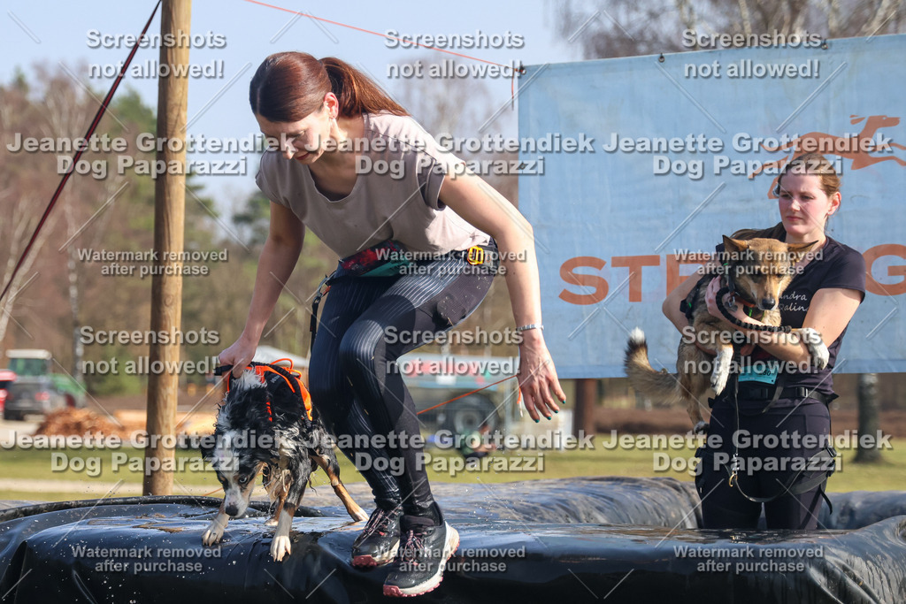 Dog Paparazzi - Strongdog North Mrz26-1908 | Dog Paparazzi Jeanette Grottendiek Fotografie & Videografie - Realisiert mit Pictrs.com