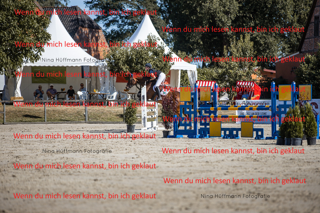 BK1A7162 | Turnierbilder Turnierfotos Nina Hüffmann Turnierfotografie Pferdefotografie Tierzeichnung Haustierzeichnung Pferdezeichnung Hundezeichnung Videograf  - Realisiert mit Pictrs.com