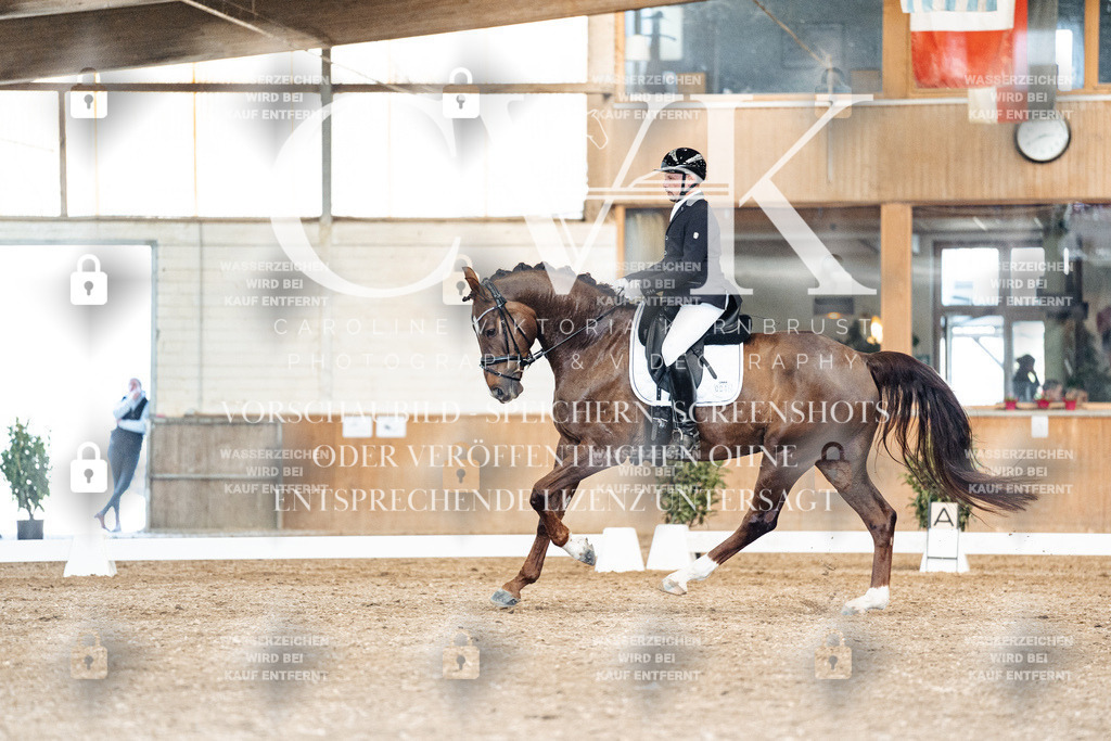 CK901631 | Turnierfotografie Pferdefotografie Trier Rheinland-Pfalz Pferdesport Reitsport Tierfotografie Sportfotografie Pferdevideo Pferdevideografie Equestrianvideography equestrianphotography  - Realisiert mit Pictrs.com