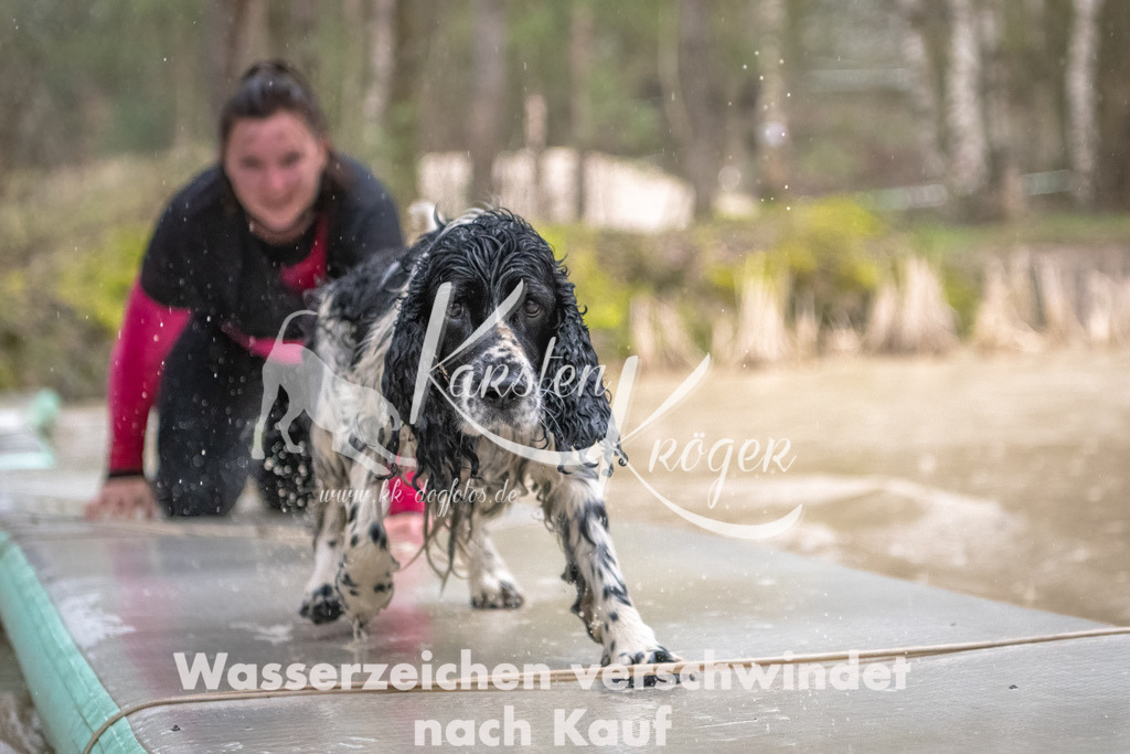 1056_ZZ93763-Bearbeitet | kk-dogfotos