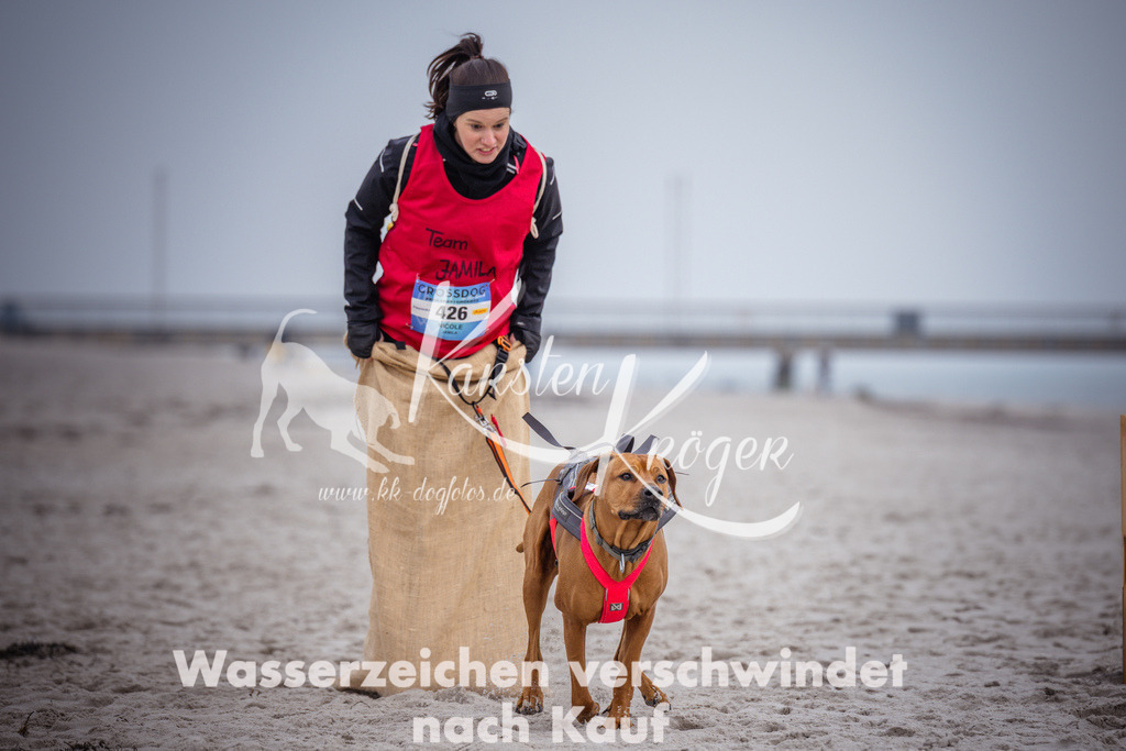 1206_ZZ91991 | kk-dogfotos