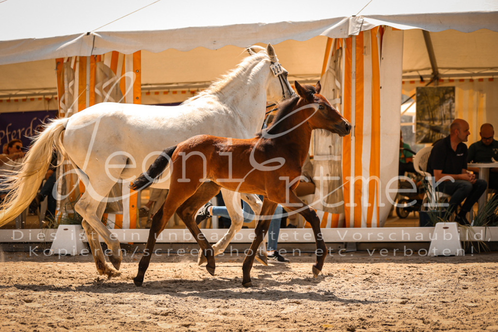 03.DoAB00049 | Leoni Ertmer Photography - Realisiert mit Pictrs.com