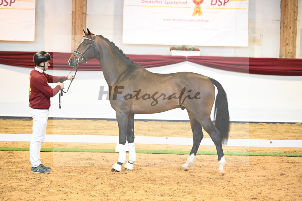 Kat-Nr. 59 v. Zalando_Kuntz_66222209 | hf-fotografie - Realisiert mit Pictrs.com