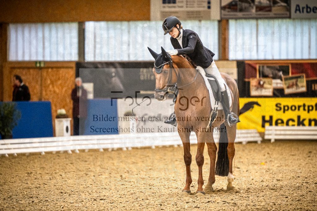 DOS_1097 | Entdecke hochwertige Reitturnierfotos von Foto Oger. Professionell, emotional und authentisch – jetzt Lieblingsmomente im Shop bestellen.Deutschlandweite Turnierfotografie. - Realisiert mit Pictrs.com