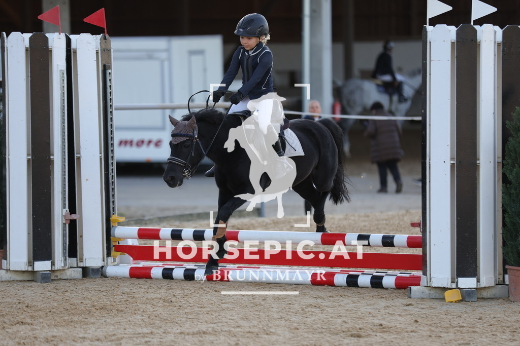 0P6A2567 | Willkommen bei Brunnmayr - Design & Fotografie – Ihrem Spezialisten für Reitturniere und Pferdeveranstaltungen in Oberösterreich, Salzburg und Bayern! Seit über 17 Jahren sind wir leidenschaftlich dabei.