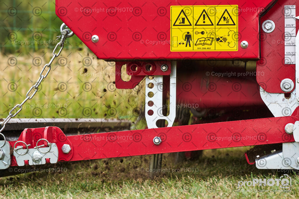 202507_Rernböck-Rasen_NZ9_1073 | proPHOTO - Realisiert mit Pictrs.com