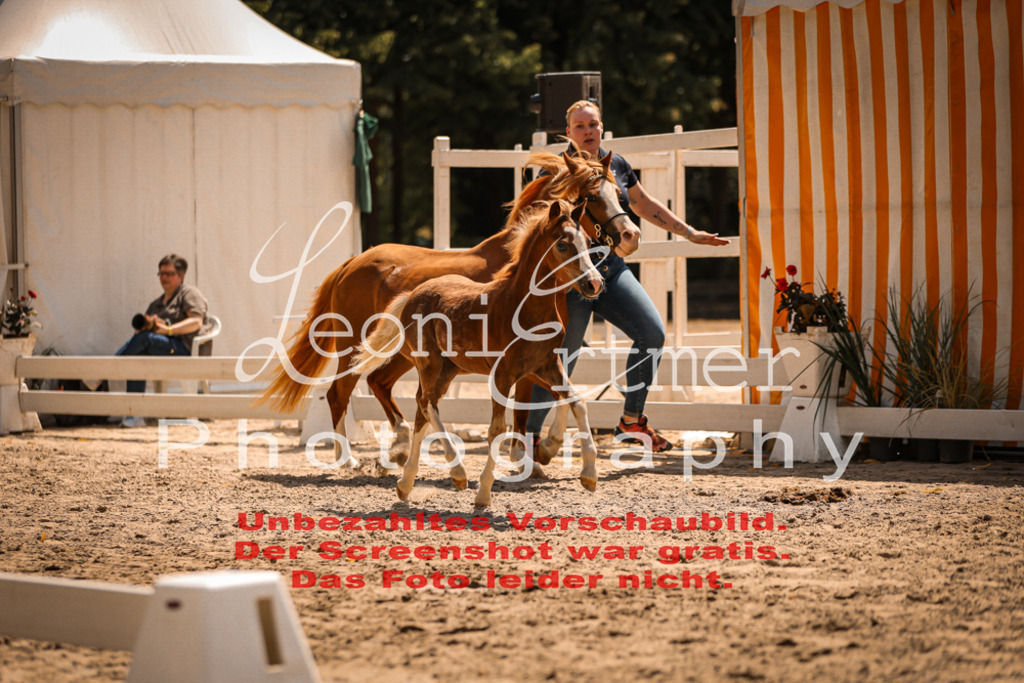 04.DoWP00013 | Leoni Ertmer Photography - Realisiert mit Pictrs.com
