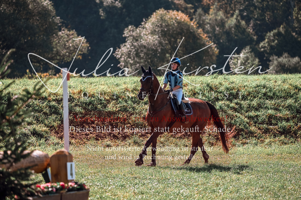 DSC_0810 | Pferde- und Turnierfotografie in Westsachsen. Pferdeportraits, Auftragszeichnungen und intuitive Kunst.