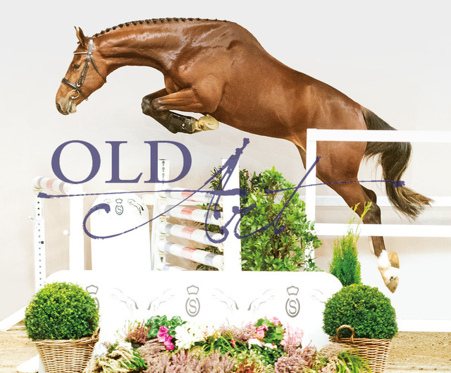 18 NLD003202100414 Emerald van het Ruytershof - Carinjo - Indorado | <meta name="description" content="★Offizieller Merchandise und Foto-/Videostore des Oldenburger Verbandes.★ ✅Jetzt auch digital Ausdrucke erhältlich." />
<meta name="keywords" content="Merchandise Foto-/Videostore Oldenburger Verband Photographie 