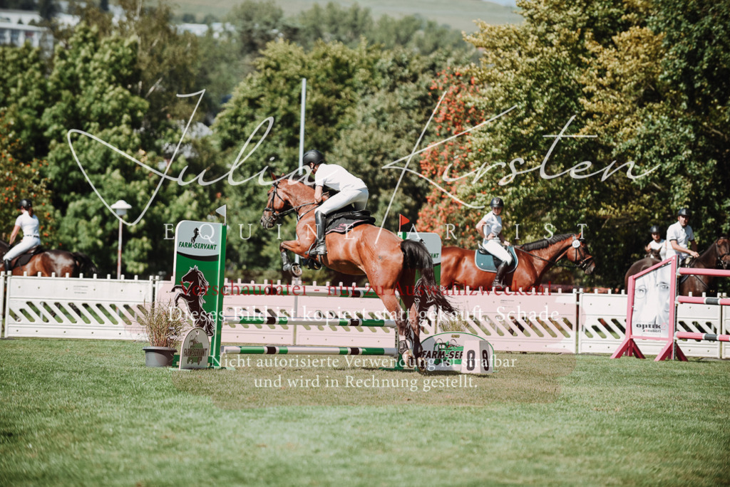 DSC_3027 | Pferde- und Turnierfotografie in Westsachsen. Pferdeportraits, Auftragszeichnungen und intuitive Kunst.