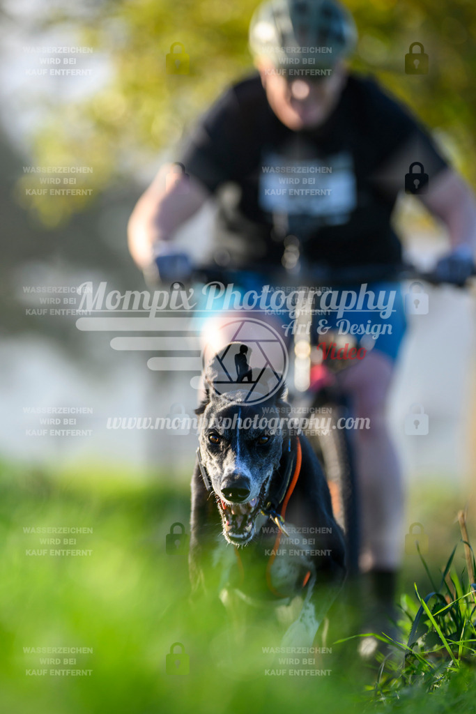 MompixPhotography_20TSB_E3_Bike-214 | PayLife