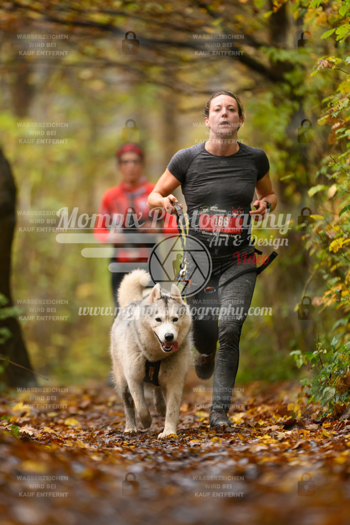 MompixPhotography_CD7S_DI_CCL-166 | mompixphotography