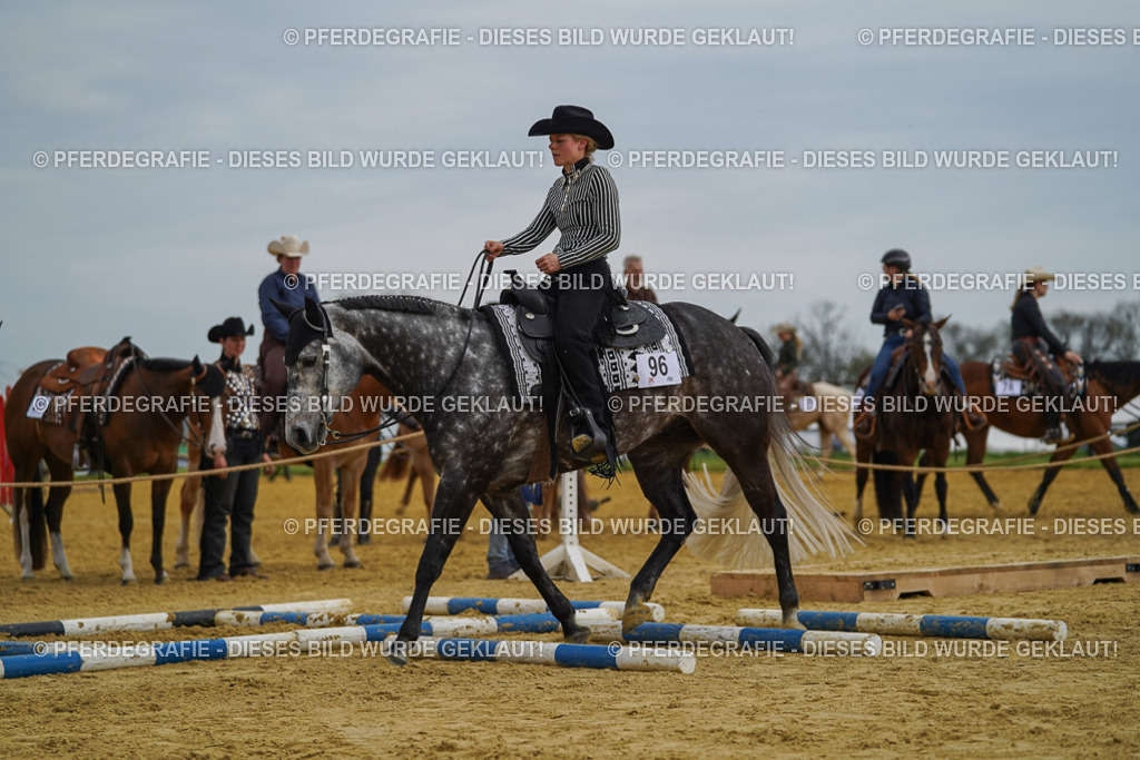 DSC02438 | Pferdegrafie