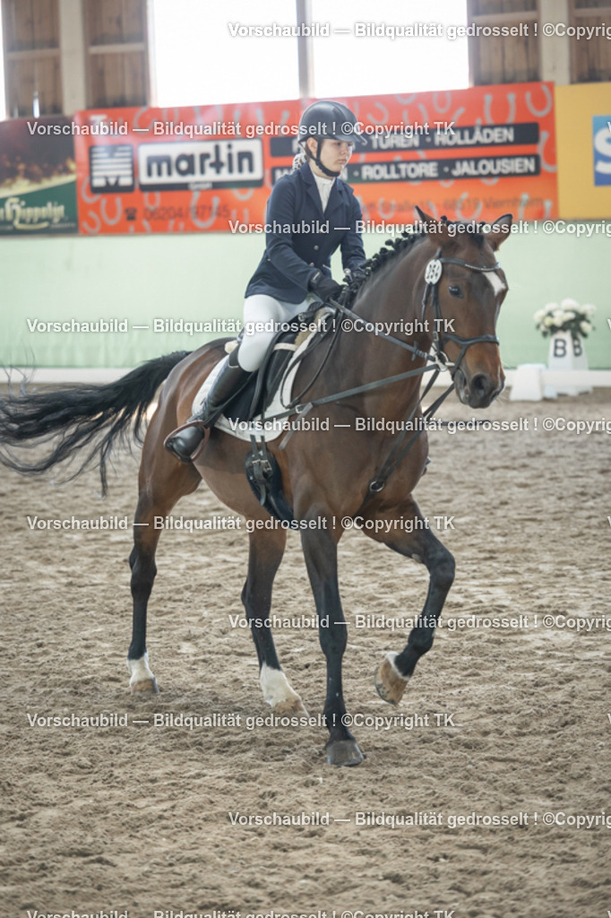 _D5A8987 | Emotionale Pferde- & People-Fotografie rund um Heidelberg, Leimen & Umgebung. Natürliche Fotos von Pferd, Mensch & Familie. Jetzt Termin sichern!