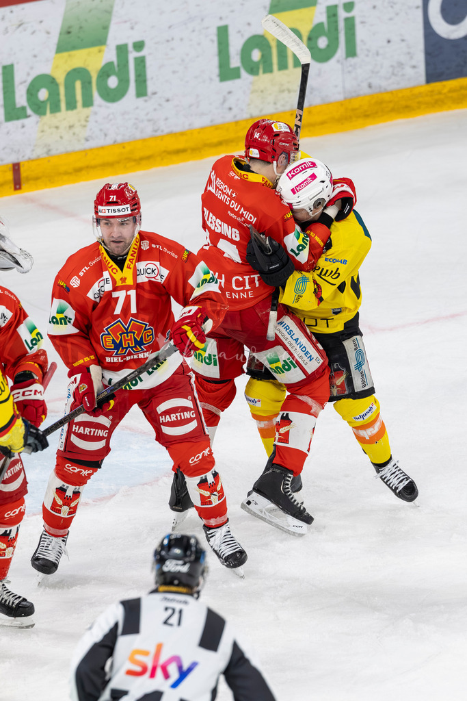 EHCB vs SCB 20260312_wb-4211 | Sportbilder, Sportfotograf, Hochzeits- und Eventfotografin, Flugshows, Portraits und Tiershooting, Aviation, Downhill, Nationalleague, Swissleague, International