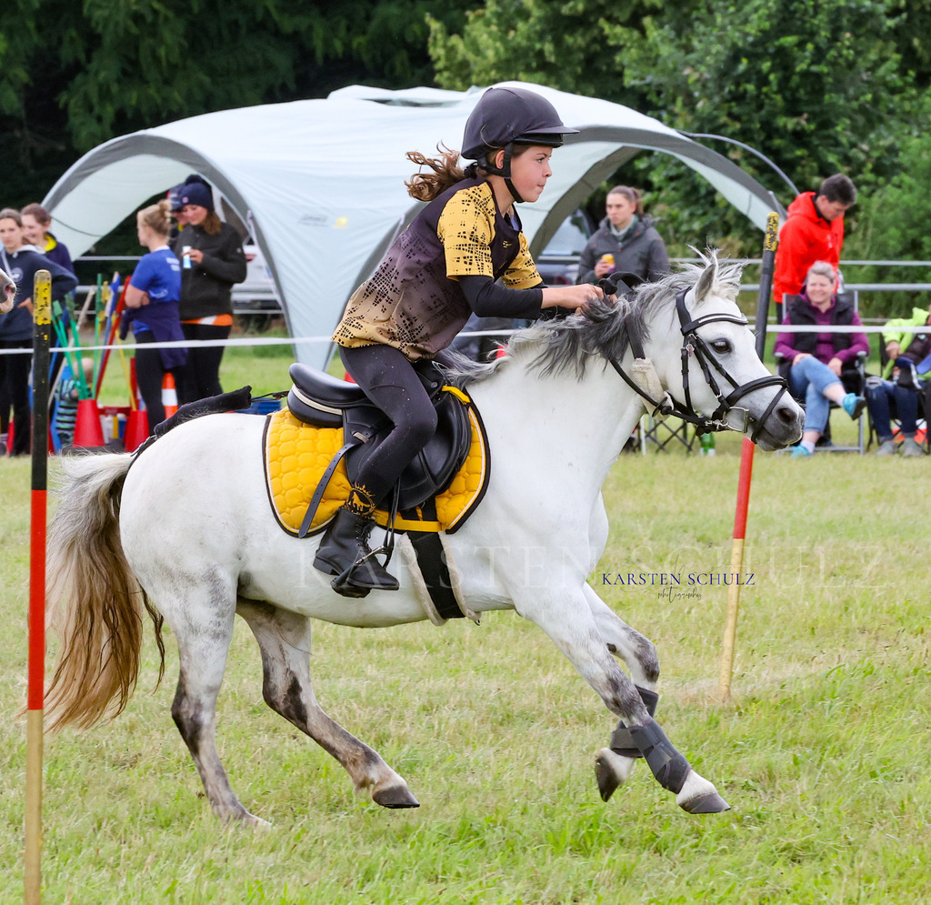 1B3A0770 | Reitsport Reiten