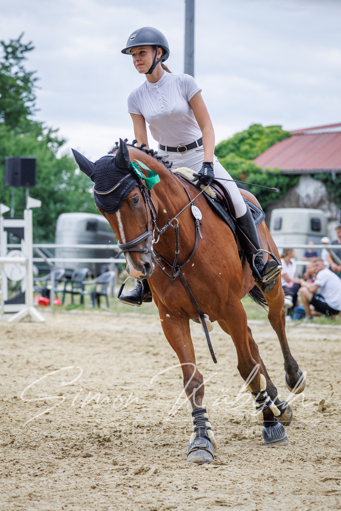 20260705-_3LI6408 | Tierfotografie Pferde, Hunde, Katzen, Haustiere.
Turnierfotografie Reitturniere, Reiten, Springreiten, Dressur in Hanau, dem Main-Kinzig-Kreis und dem Rhein-Main- Gebiet um Frankfurt
