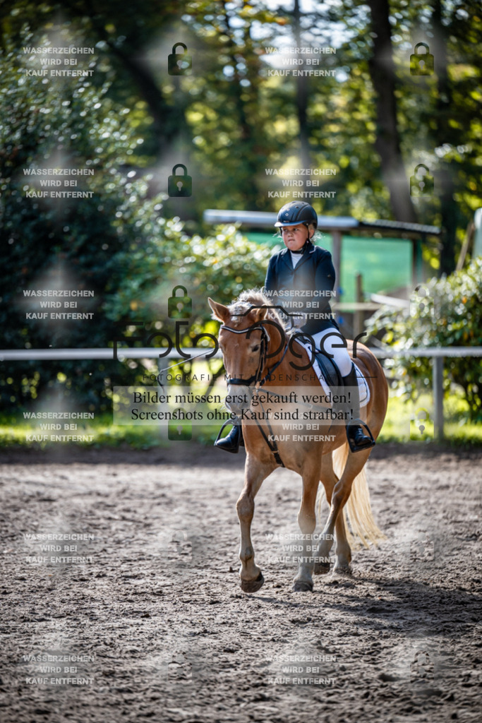 2026-10-Helle-20-4-0039 | Entdecke hochwertige Reitturnierfotos von Foto Oger. Professionell, emotional und authentisch – jetzt Lieblingsmomente im Shop bestellen.Deutschlandweite Turnierfotografie. - Realisiert mit Pictrs.com