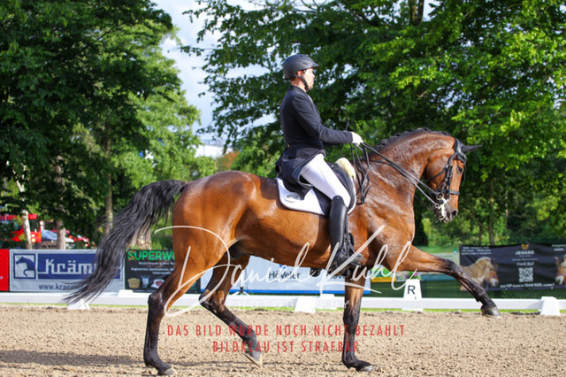 DKP41760 | Turnierfotos kaufen im Webshop von Daniel Kuhl Photography – entdecke professionelle Reitsportfotos aus Turnieren & Events. Hochwertige Turnierbilder online bestellen & sichern. Jetzt Fotos von Reitsportturnieren kaufen!