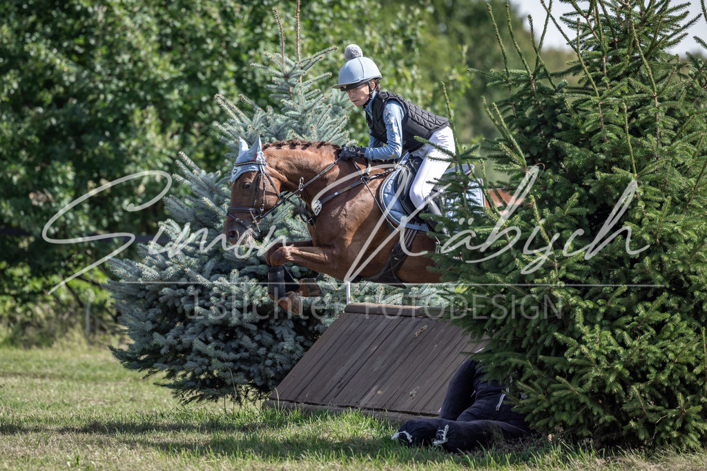 20250907-_3LI0068 | Tierfotografie Pferde, Hunde, Katzen, Haustiere.
Turnierfotografie Reitturniere, Reiten, Springreiten, Dressur in Hanau, dem Main-Kinzig-Kreis und dem Rhein-Main- Gebiet um Frankfurt