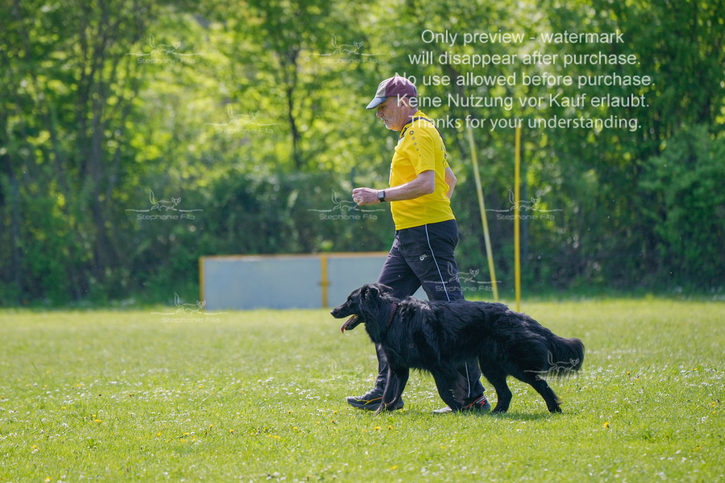 Sa_Gehorsam_02-123 | stephaniefillaphotographie - Realisiert mit Pictrs.com