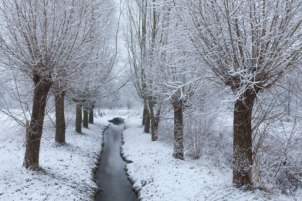 100125-044 | Europa, DEU, Deutschland, Nordrhein Westfalen, NRW, Rheinland, Niederrhein, Krefeld, Naturschutzgebietes Riethbenden, Winter, Schnee, Neuschnee, Morgens, Wasser, Rinne, Baeume, Kopfweiden, Allee, Kategorien und Themen, Natur, Umwelt, Landschaft, Jahreszeiten, Stimmungen, Landschaftsfotografie, Landschaften, Landschaftsphoto, Landschaftsphotographie, Wetter, Wetterelemente, Wetterlage, Wetterkunde, Witterung, Witterungsbedingungen, Wettererscheinungen, Meteorologie, Wettervorhersage....[Fuer die Nutzung gelten die jeweils gueltigen Allgemeinen Liefer-und Geschaeftsbedingungen. Nutzung nur gegen Verwendungsmeldung und Nachweis. Download der AGB unter http://www.image-box.com oder werden auf Anfrage zugesendet. Freigabe ist vorher erforderlich. Jede Nutzung des Fotos ist honorarpflichtig gemaess derzeit gueltiger MFM Liste - Kontakt, Uwe Schmid-Fotografie, Duisburg, Tel. (+49).2065.677997, ..archiv@image-box.com, www.image-box.com] - Realisiert mit Pictrs.com